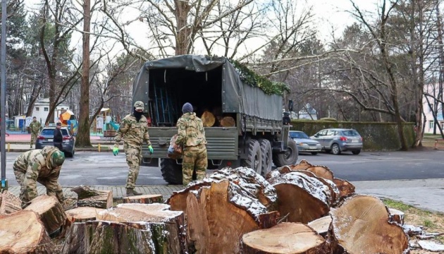 У Криму вирубують парки на дрова для окупантів на Херсонщині та Запоріжжі - соцмережі