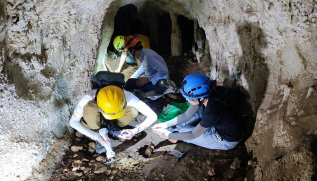 У Таїланді знайшли стародавні скам'янілості тварин у печері