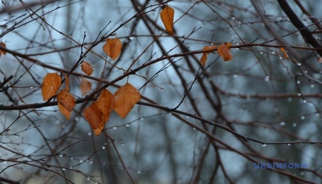 В Україні пройдуть дощі, вдень від 0°до +17°