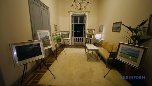 У Стамбулі до Дня спротиву презентували виставку картин, створених до окупації Криму