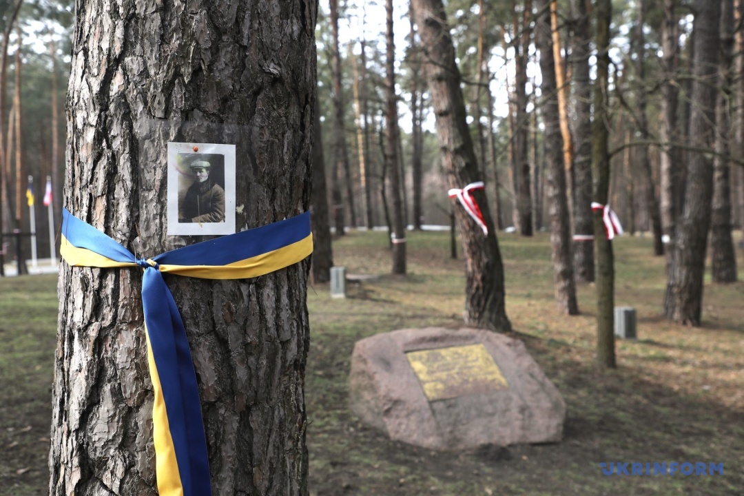Фото: Юлія Овсяннікова