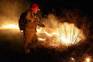 Wildfires expanding in Ukraine’ Zakarpattia at unseen pace - rescuers