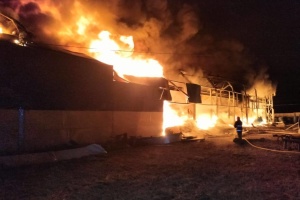 На Харківщині за добу внаслідок російських авіаударів постраждали п'ятеро людей