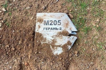 Overnight, 12 enemy drones shot down on Kyiv outskirts