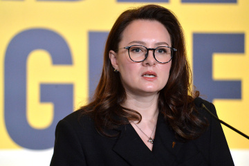 Ukraine manages to make minerals deal balanced, equitable – Vice PM
