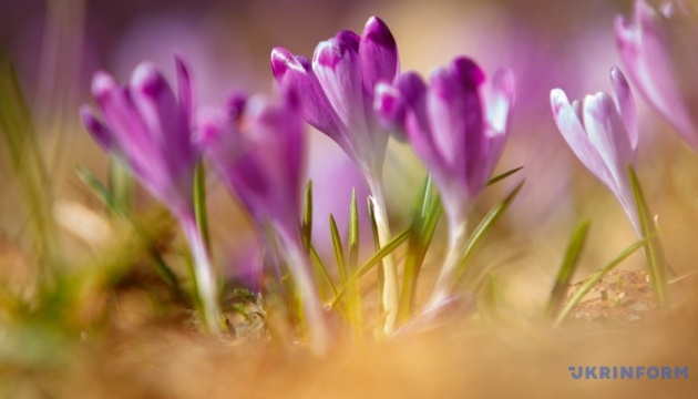 Перезавантажитися на Закарпатті