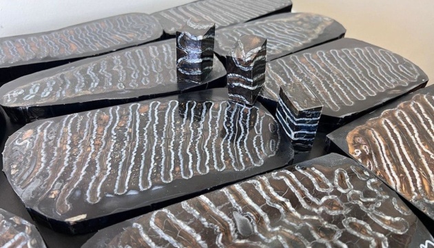 774,000-year-old mammoth tooth plates seized en route from Ukraine to Bulgaria 774,000-year-old mammoth tooth plates seized en route from Ukraine to Bulgaria