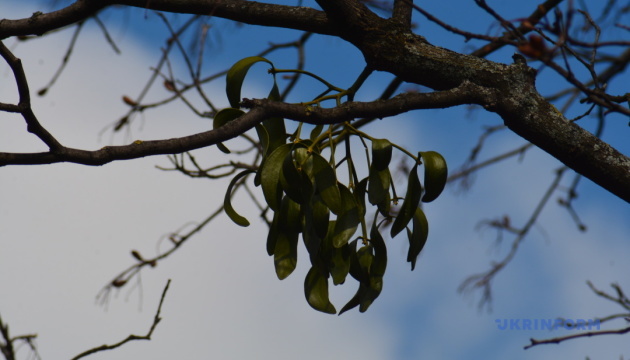 У середу в Україні вночі - слабкий мороз, вдень до +15°