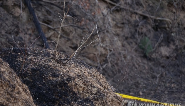 У Південній Кореї затримали підозрюваного у наймасштабнішій лісовій пожежі У Південній Кореї затримали підозрюваного у наймасштабнішій лісовій пожежі