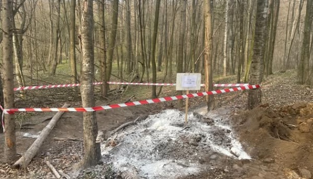 На Вінниччині виявили африканську чуму свиней, чотири населені пункти під наглядом