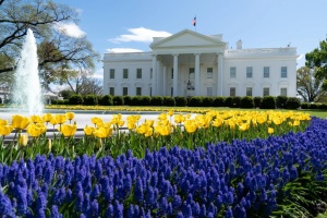 White House seeking to weaken Russia sanctions bill – media