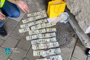 Ексдепутатку судитимуть за організацію оборудок зі встановлення інвалідності