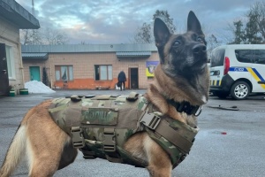 У Києві поліція відкрила кінологічний гурток - чому навчатимуть учасників