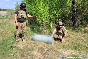 На Житомирщині вибухотехніки знищили бойові частини російських крилатих ракет