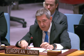 EU ready to support all efforts to establish peace in Ukraine - envoy to UN