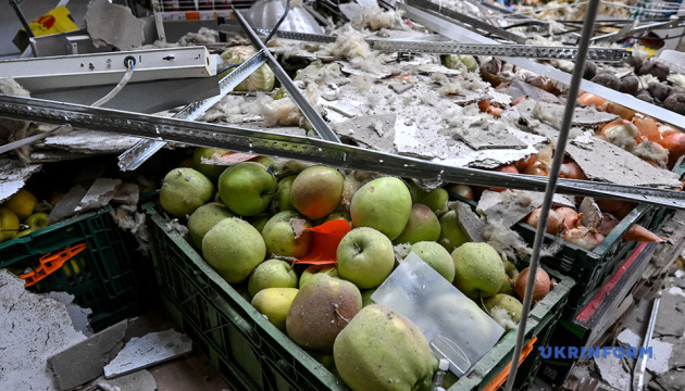 Атака дронів у Кушугумі на Запоріжжі: пошкоджені 20 будинків, знищений торговельний центр