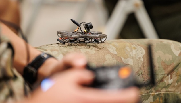 Євросоюз відмовив Литві та Естонії у фінансуванні «стіни дронів»