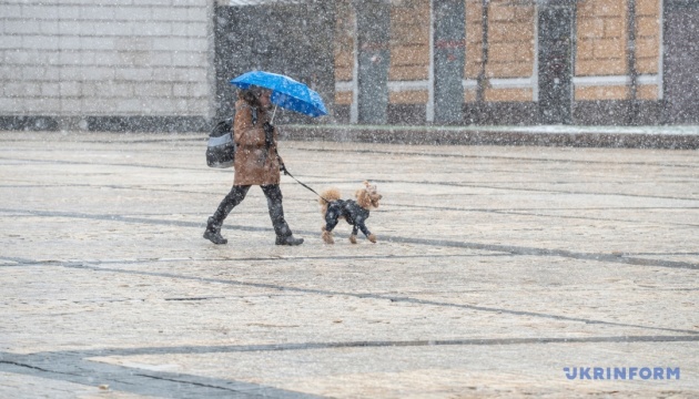 Синоптики попереджають про туман у п’ятницю і сніг - на вихідних