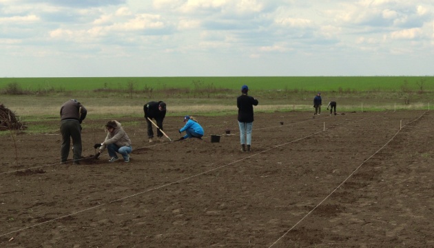 На Миколаївщині відновили лісосмугу, яка була знищена під час війни На Миколаївщині відновили лісосмугу, яка була знищена під час війни