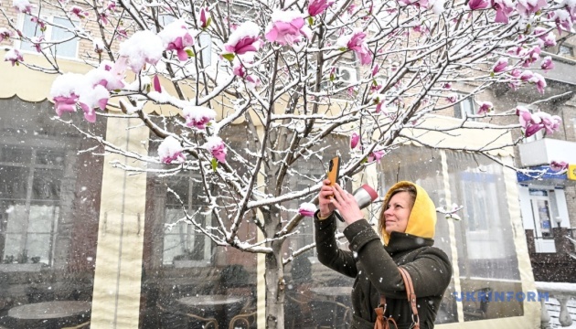 Дерева пам’яті, ампфутбол для ветеранів і замерзла магнолія