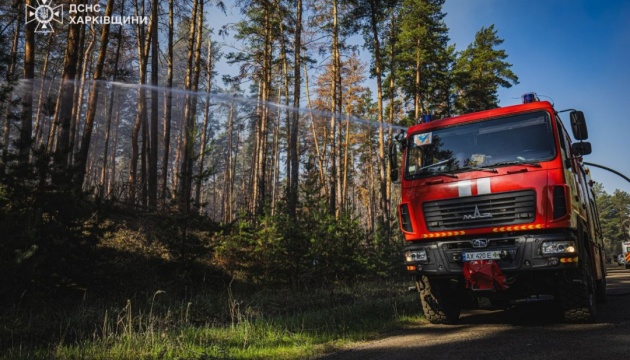 На Харківщині локалізували масштабну лісову пожежу