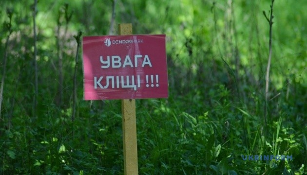 На Волині підтвердили другий випадок кліщового вірусного енцефаліту