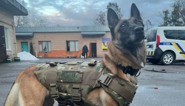 У Києві поліція відкрила кінологічний гурток - чому навчатимуть учасників