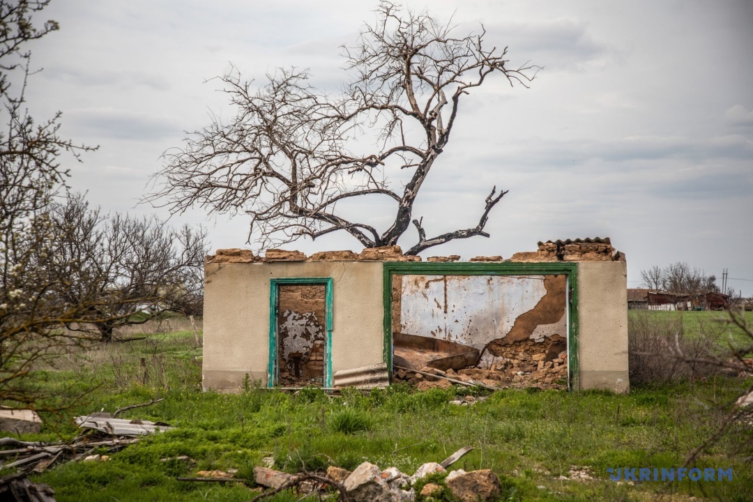 Фото: Юлія Овсяннікова Фото: Юлія Овсяннікова