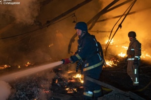 Армія РФ на Сумщині атакувала підприємство, що виробляло комбікорм