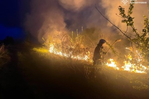 В екосистемах Україні від початку року сталося понад 25 тисяч пожеж