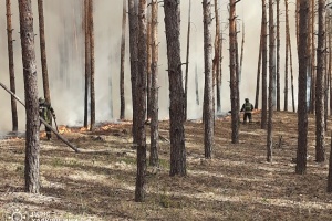 Massive forest fires break out in Kharkiv region following Russian artillery strikes