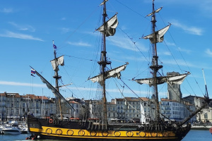 Russian ship must leave French territorial waters for good - French activist