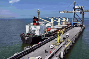 Humanitarian ship carrying Ukrainian grain arrives in Türkiye 