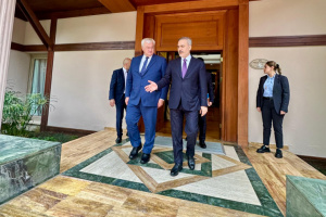 Sybiha met with Turkish FM in Antalya