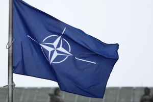 Корупція при військових закупівлях для НАТО: міжнародне розслідування координує Євроюст