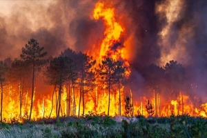 У Росії вирують масштабні лісові пожежі - ЦПД