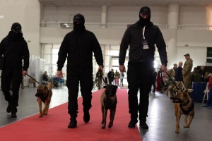 В Україні відбулися найбільші кінологічні змагання