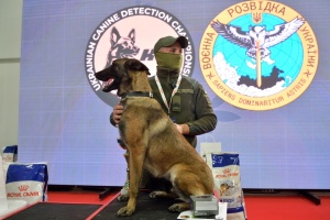 В Україні відбулися найбільші кінологічні змагання