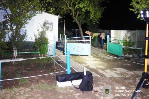 Загибель дитини на Миколаївщини: жінка, яка принесла гранату до сусідів, померла від травм
