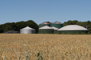 Three more plants preparing to start biomethane production in Ukraine – expert