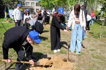 В одному з ліцеїв Чернігова висадили Алею пам'яті на честь загиблих учнів і випускників