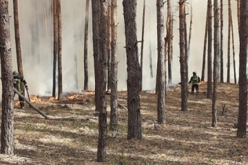 Guerre en Ukraine : Des bombardements russes ont déclenché des incendies de forêt à grande échelle dans la région de Kharkiv 