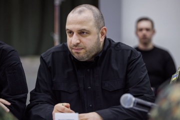 Umerov discusses strategic security projects with German MoD delegation