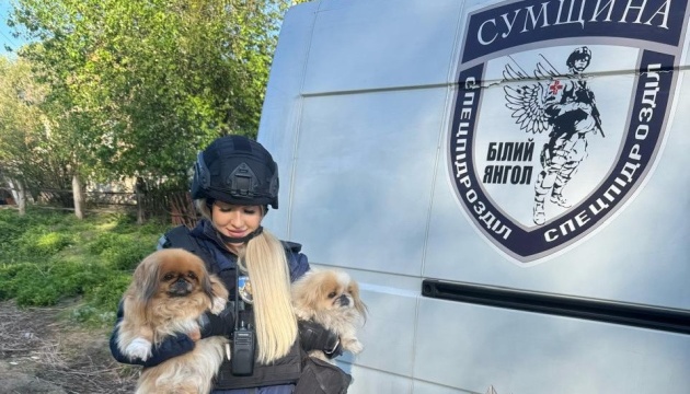 ‘White angels’ evacuate elderly woman from border community in Sumy region ‘White angels’ evacuate elderly woman from border community in Sumy region