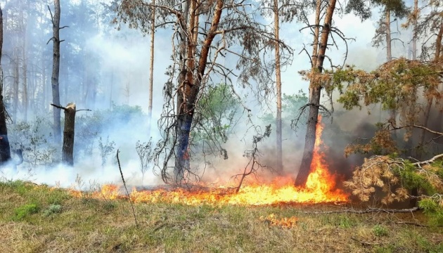 На Харківщині через наближення лісової пожежі готується евакуація в Ізюмському районі