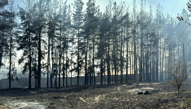Лісова пожежа поблизу Ізюма охопила майже 80 гектарів - ДСНС