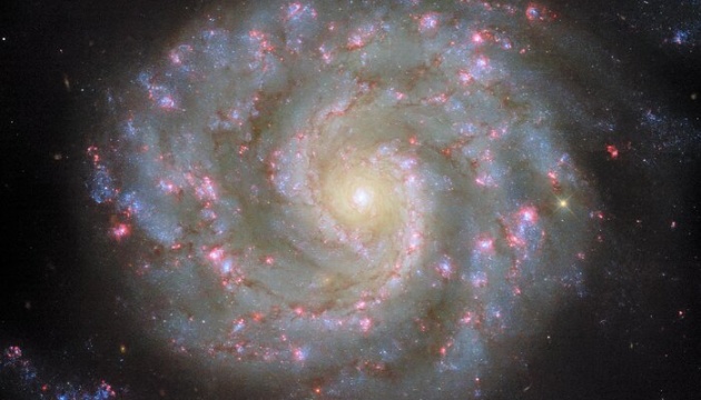 Hubble показав спіральну галактику з «рукавами» у сузір'ї Лева