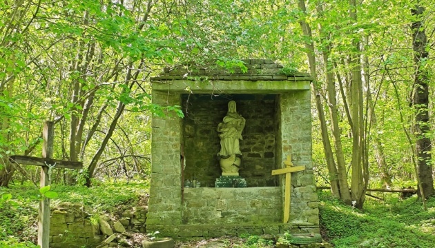 ДНК-дослідження ексгумованих у Пужниках останків проводитимуть у Польщі