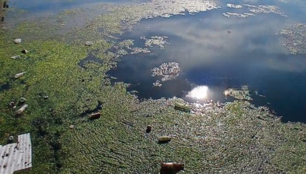 Річка Кальчик в окупованому Маріуполі перетворюється на болото - міськрада Річка Кальчик в окупованому Маріуполі перетворюється на болото - міськрада