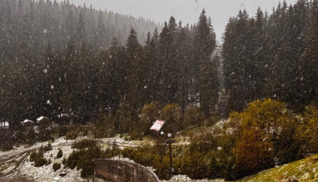 У Карпатах - туман і дощ із мокрим снігом